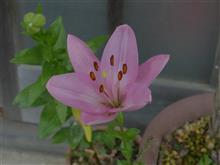 ６月２７日火曜日の日記　生活保護