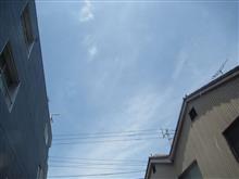 エスコスくんの、今後とちょっと修正。 エスコスくんの、今後とちょっと修正。