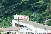 不快指数5000%の伊豆半島の旅(;´A`) 不快指数5000%の伊豆半島の旅(;´A`)