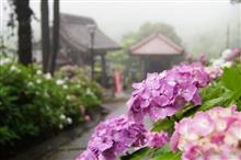 朝霧の蓮華峰寺へ♪