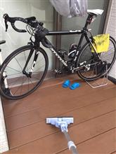 雨上がりなので。