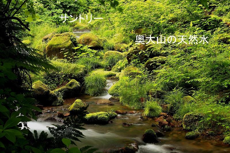 サントリー 奥大山の天然水 ブナの森 Cmロケ地 宇多田さん リック ジョンソンのブログ リック ジョンソンのページ みんカラ