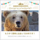 愛車と出会って84年！