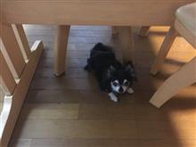 皆様ご無沙汰しております