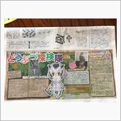 今週のふれんず