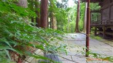 元同僚と東北の元同僚を訪ねて（2日目）