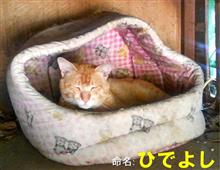 日本を取り戻すために～前編・恨(ハン)のこころ～