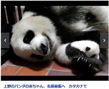 腕枕で寝てるとかって…やってくれるぜ、上野赤パン (^^)
