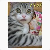 おにゅ～(^.^)