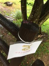 ハシロクでお披露目（Part2）