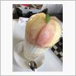 ひさびぶろぐ