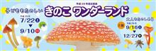 きのこワンダーランド