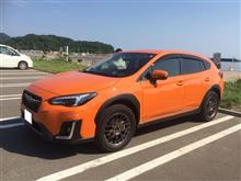 XV、1ヶ月点検とインプレ。