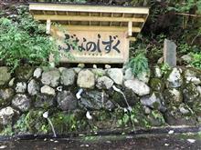 ぶなのしずく ぶなのしずく