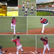 野球観戦（千葉ロッテVS埼玉西武）