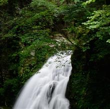 水と緑のうまれる地で ~赤目四十八滝~ 水と緑のうまれる地で ~赤目四十八滝~