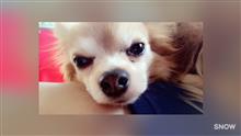 山の日.°(ಗдಗ。)°. 山の日.°(ಗдಗ。)°.