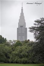 雨の新宿御苑