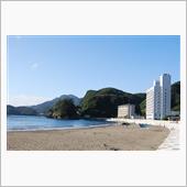 夏の海は楽しい