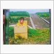 みん友さんの 娘さんがCDデビュー
