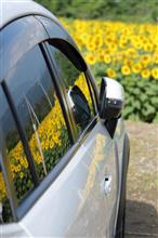 SunFlowers【このままでは夏が終われない】