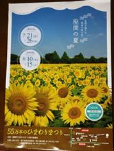 座間のひまわり・・・手遅れか・・・笑