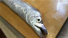 お盆休み後の釣り1/2