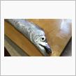 お盆休み後の釣り1/2
