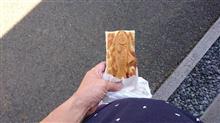 鯛とは違うのだよ鯛とは……