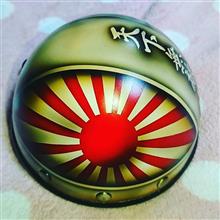 ペット用ヘルメット♪ ペット用ヘルメット♪