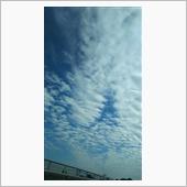 鱗雲に思ふ