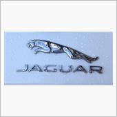 Jaguar F-PACEに ...