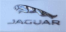 Jaguar F-PACEに乗る