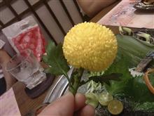 菊って丸いのね。。。