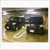 細胞分裂w