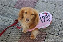 3rd LEM 行ってきたお(^ω^) 3rd LEM 行ってきたお(^ω^)