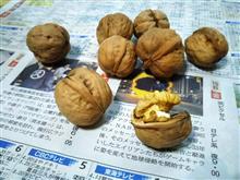 クルミ(^_^) クルミ(^_^)
