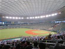 野球観戦（埼玉西武VS北海道日本ハム）