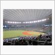 野球観戦（埼玉西武VS北海道日本ハム）