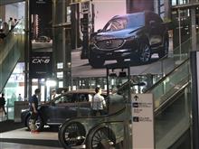 CX-8 眺めてきました