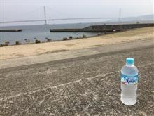 まったりの休日 ♪(´ε` ) まったりの休日 ♪(´ε` )