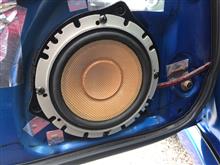 やっぱり耳ってあてにならない？