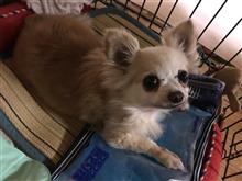 命の大切さ・・・再確認してほしいなと。。。
