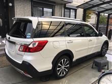 久しぶりに洗車