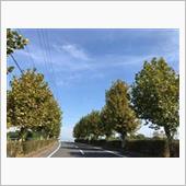 良い天気のうちに