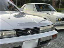 また、愛車を替えました。