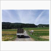 米運び11日目