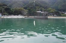 久しぶりの海釣りでしたが・・・