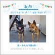 祝・みんカラ歴4年！