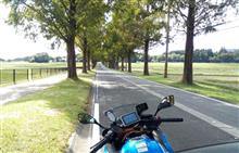 琵琶湖、さざなみ街道 (Ninja650)